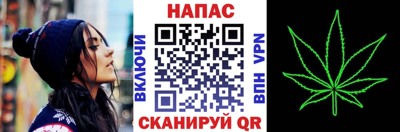 Каннабис SATIVA & INDICA  ОМГ ОМГ маркетплейс  Торопец  сайты даркнета официальный сайт  закладки 